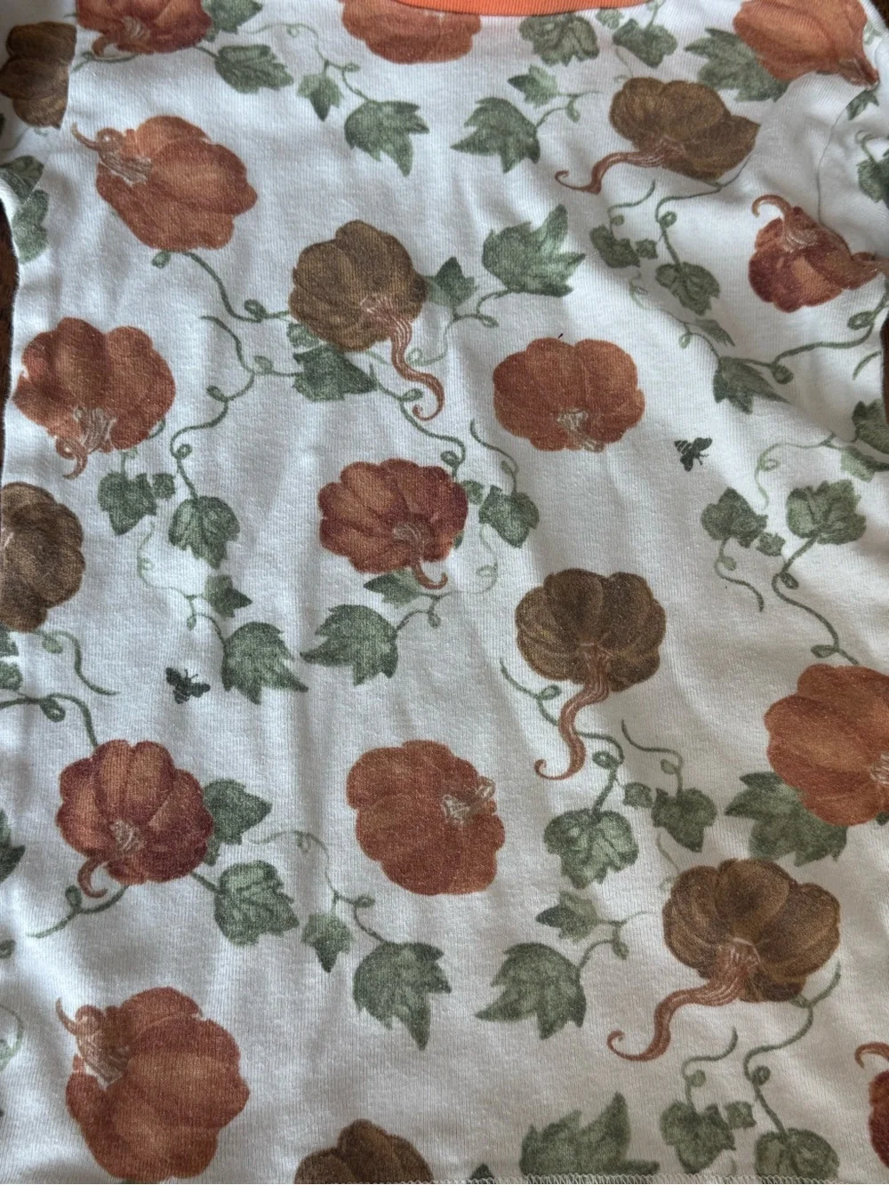 Burt’s Bees Organic Cotton Pumpkin Halloween Pajama Set Size 5
